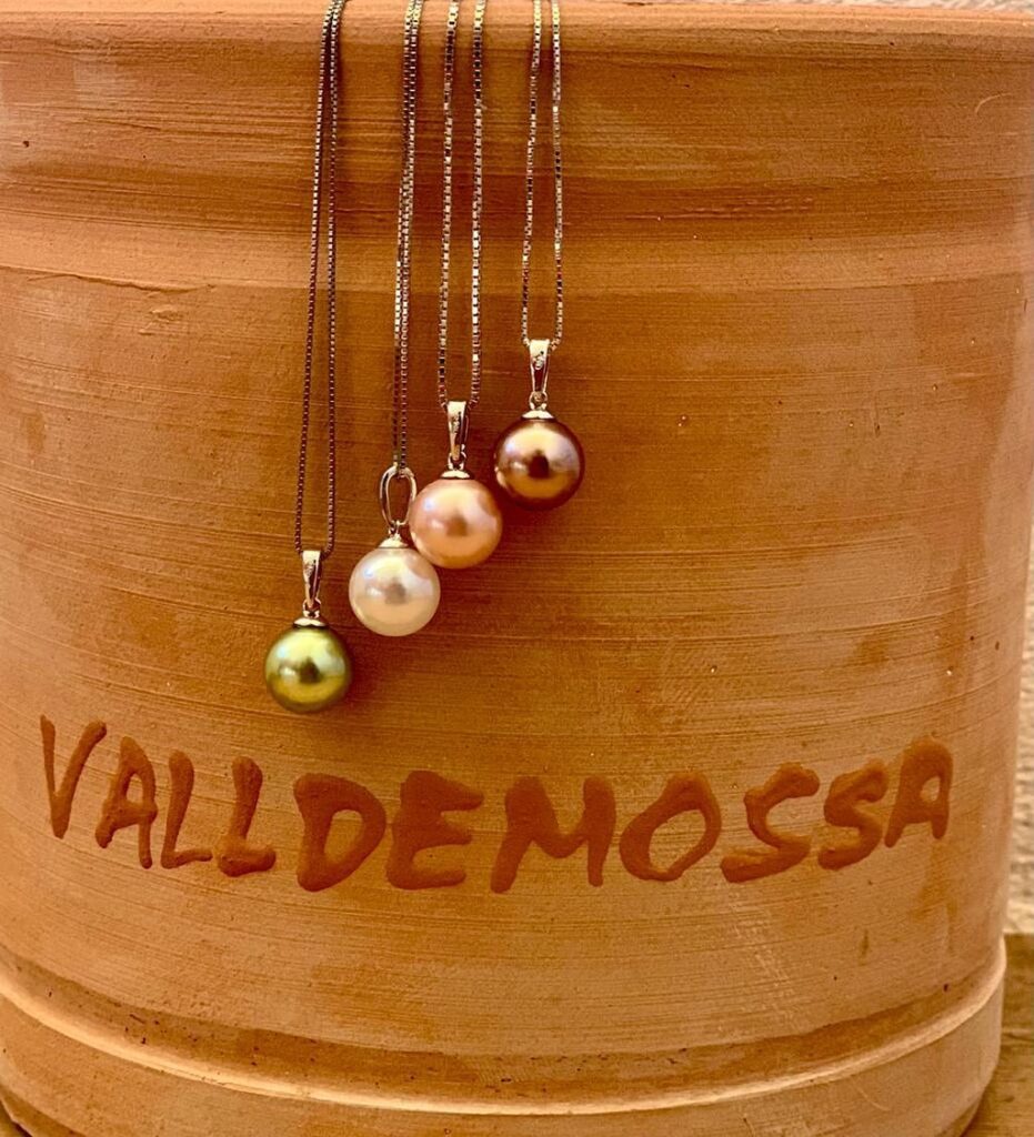 121785806_123186135993741_922089529349899607_n